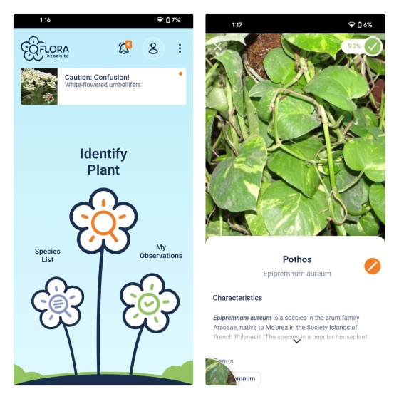 flora incognita - Plant Identifier Apps