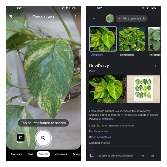 free plant scanner app