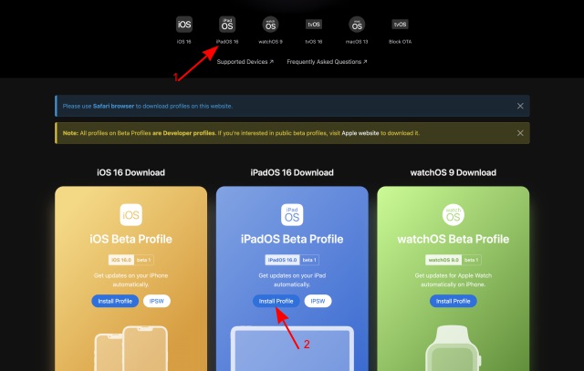 డెవలపర్ ఖాతా లేకుండా ఐఫోన్లో iOS 16 బీటాను ఎలా ఇన్స్టాల్ చేయాలి