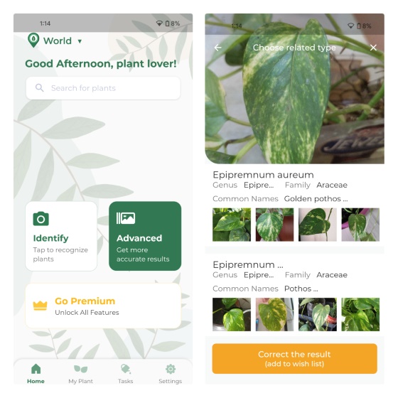 leafsnap - best Plant Identifier Apps