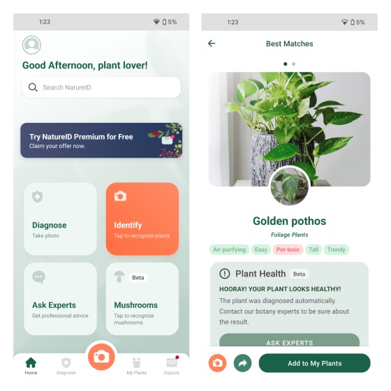 10 Best Plant Identifier Apps for Android and iPhone (Free & Paid) | Beebom