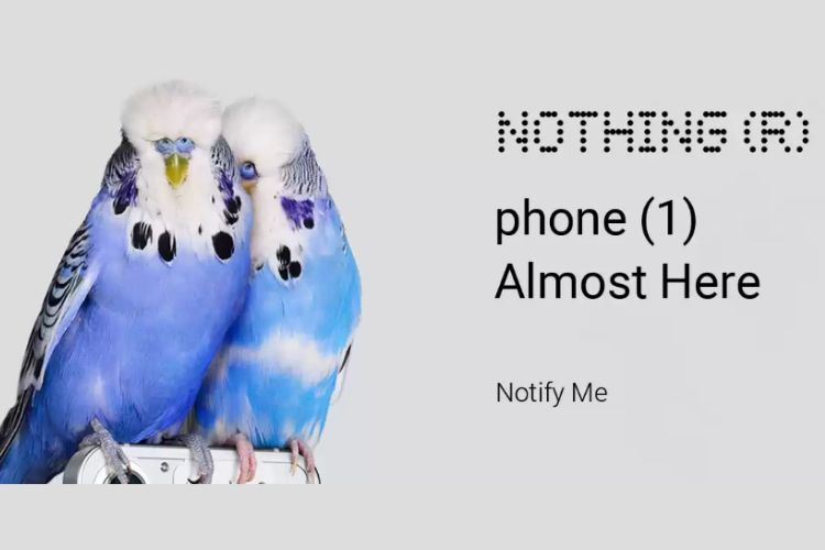 nothing phone 1 design revealed