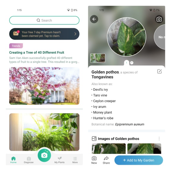 10 Best Plant Identifier Apps for Android and iPhone (Free & Paid) Beebom