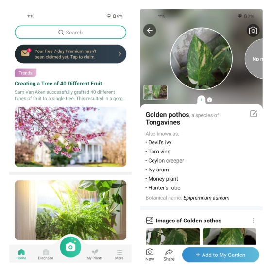 10 Best Plant Identifier Apps For