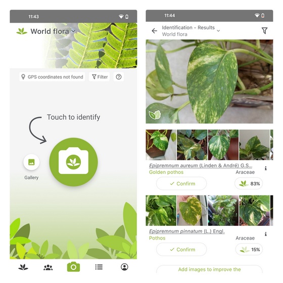 10 Best Plant Identifier Apps For