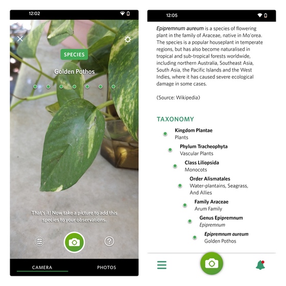 10 Best Plant Identifier Apps for Android and iPhone (Free & Paid) Beebom