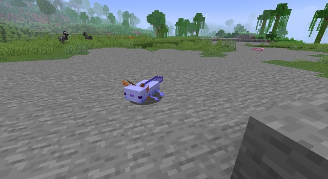 Blue Axolotl in Minecraft