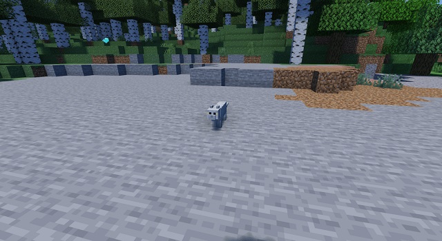 Cat in Minecraft