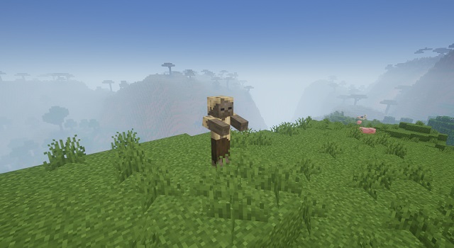 Husk in Minecraft