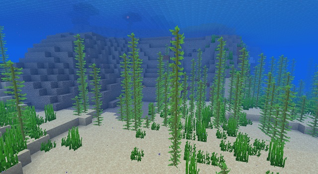 Seaweed in Minecraft