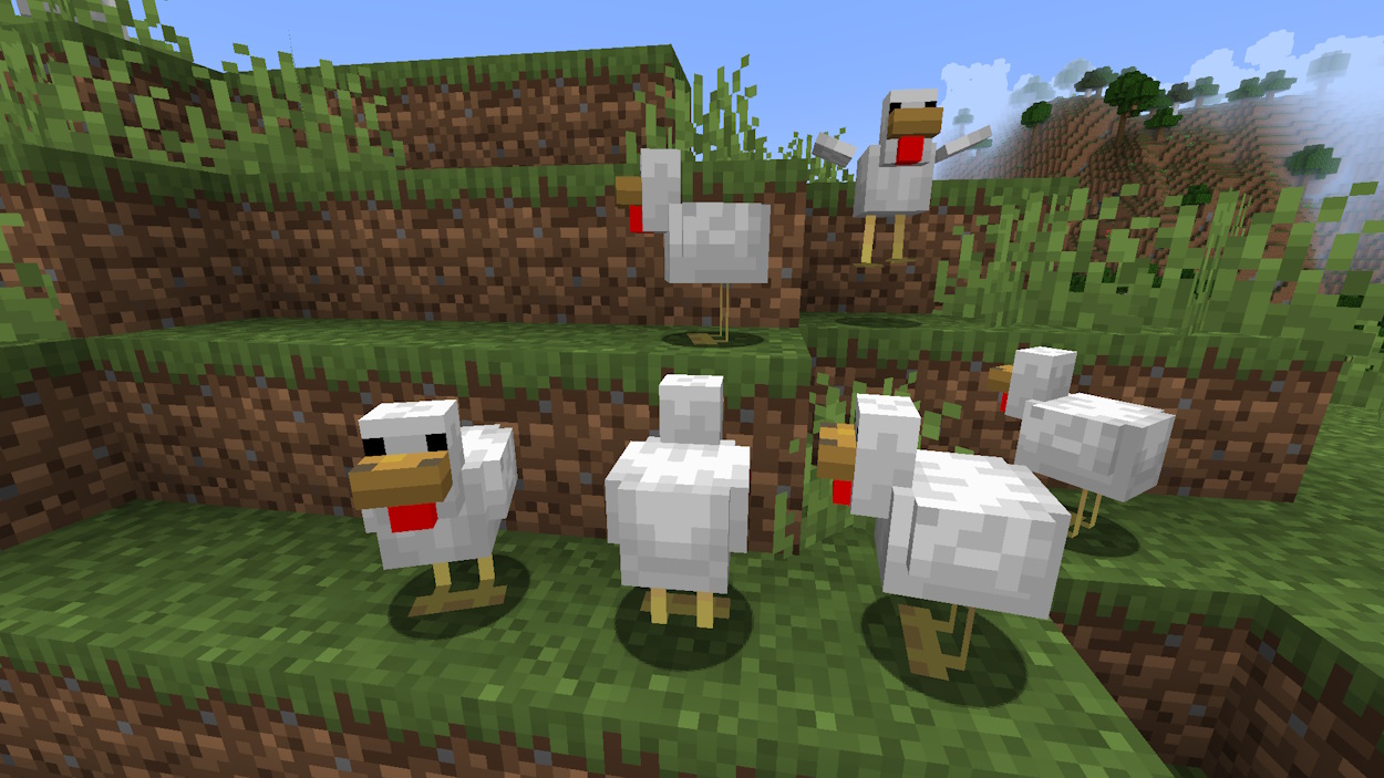 Chickens on a grassy plains