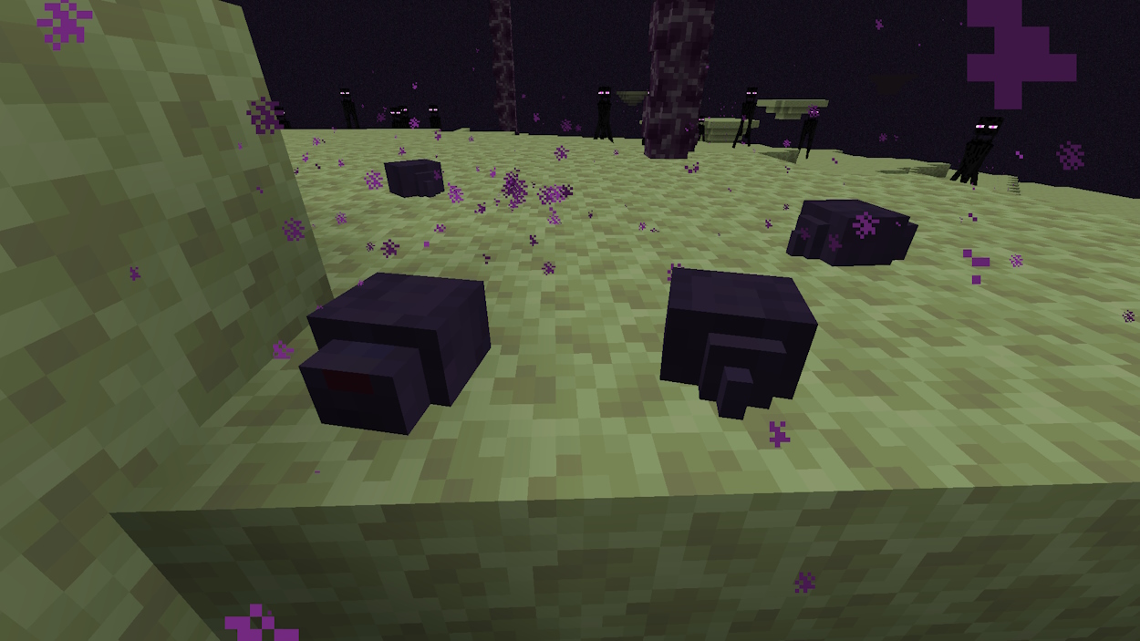 Endermites in the End