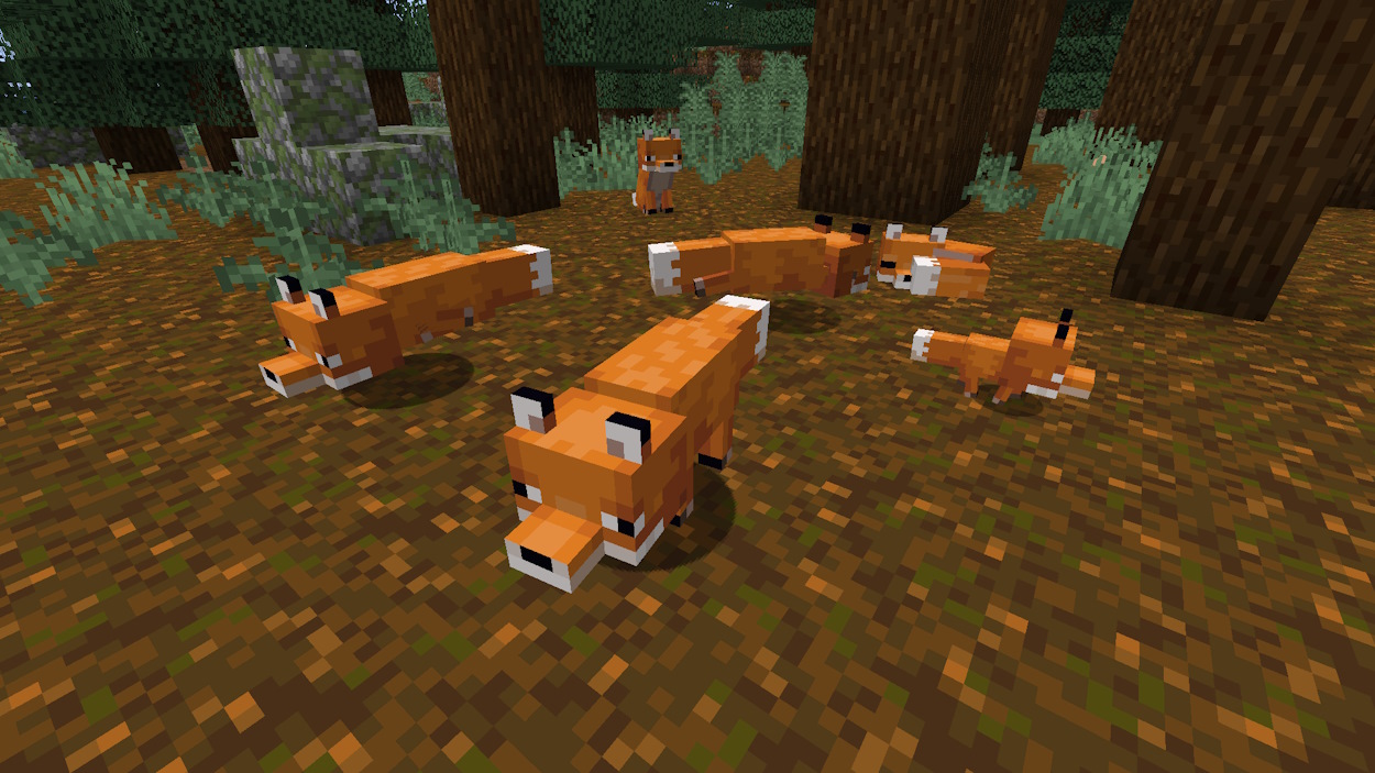 Foxes in a taiga