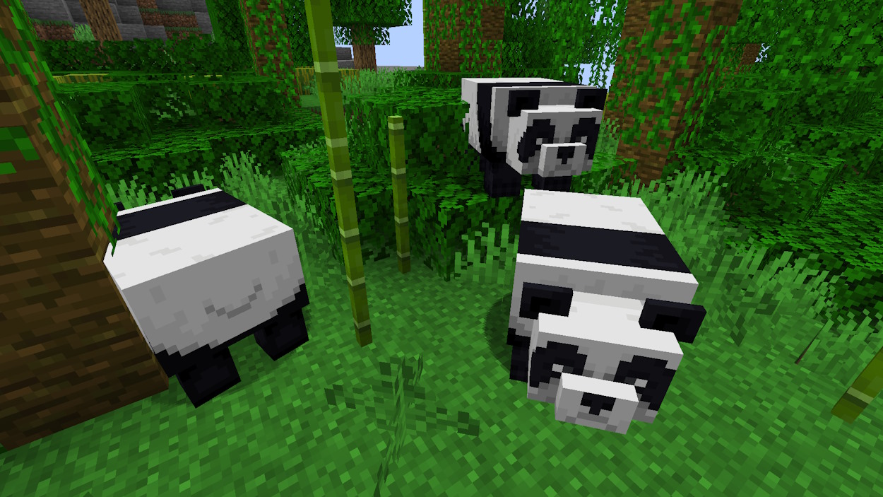 Pandas in a jungle in Minecraft