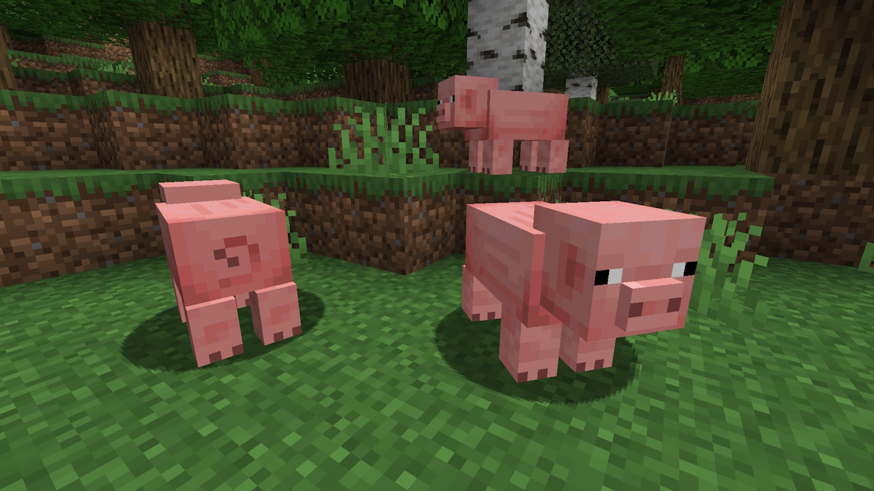 Pigs in a forest