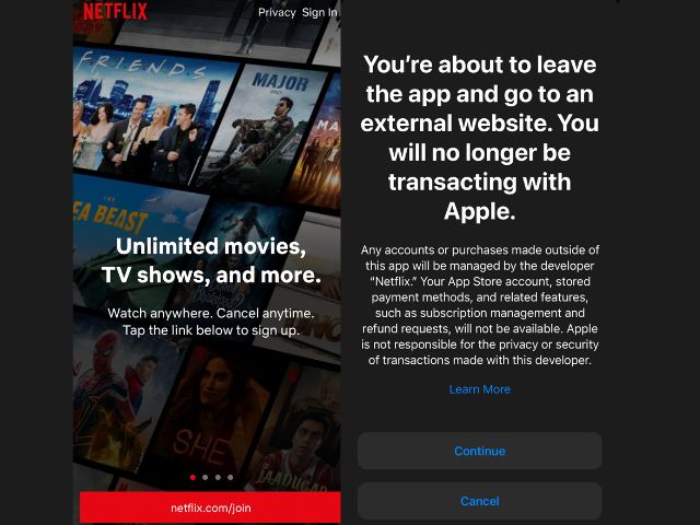 netflix subscription option on iOS