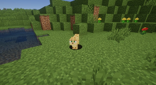 Ocelot ing Minecraft