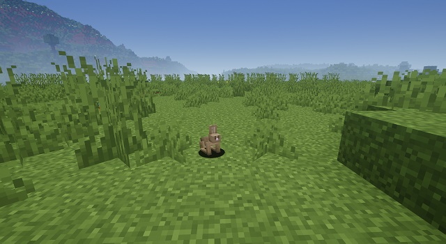 Rabbit in Minecraft