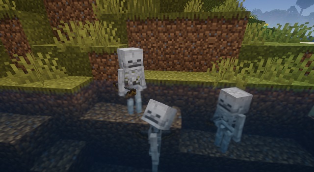 Skeletons in Minecraft