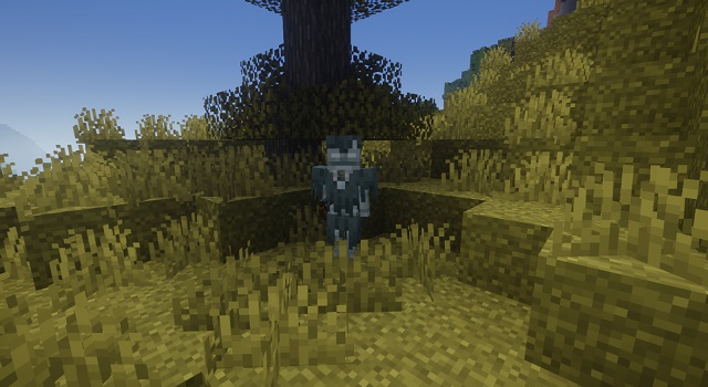 Stray in Minecraft