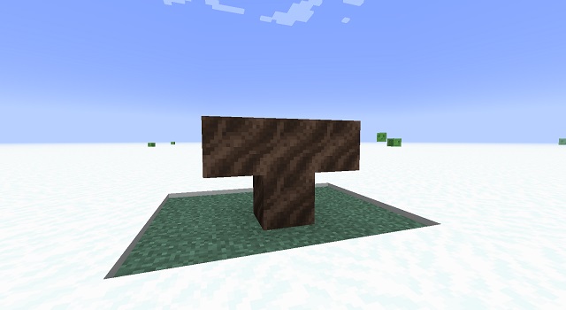 T Shaped Wither Structure