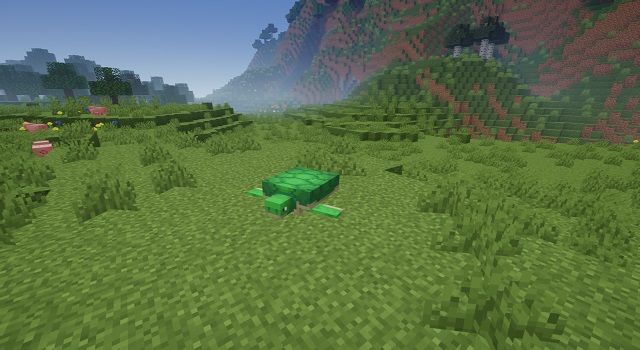 Sköldpadda i minecraft