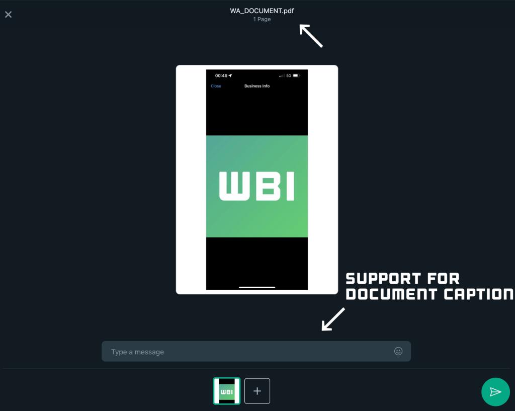 whatsapp testing captions for documents