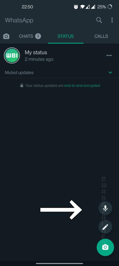 whatsapp testing voice status feature
