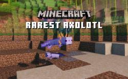 What is The Rarest Axolotl in Minecraft