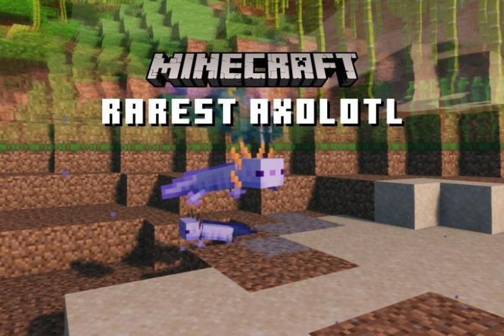 What is The Rarest Axolotl in Minecraft