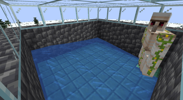 Water in Iron Golem Spawn Area