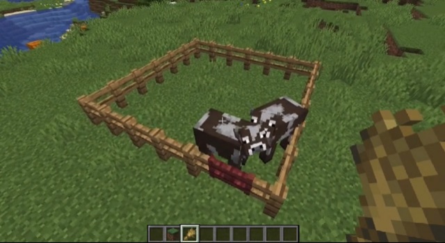 Einen Weizen Für Eine Kuh Halten Wie Man In Minecraft Eine Kuhfarm Baut