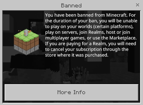 Banned in Minecraft BR