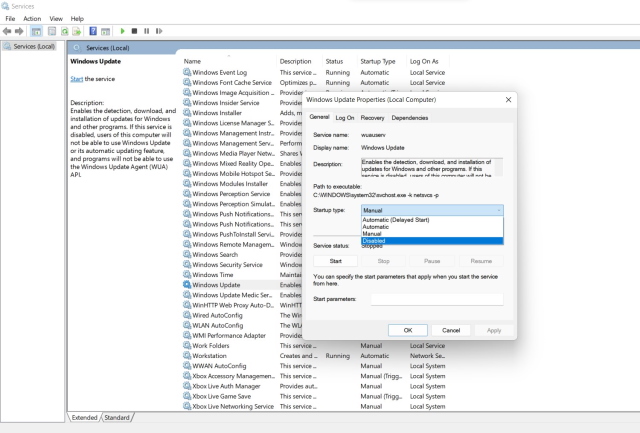 disable windows update service