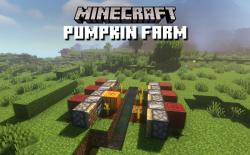 How to Make a Pumpkin Farm in Minecraft