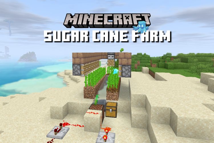 How to Make a Sugar Cane Farm in Minecraft (2022) Beebom