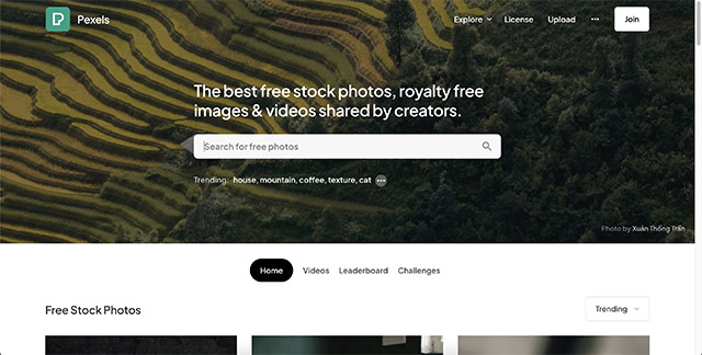 20 Best Royalty Free Stock Photo Websites