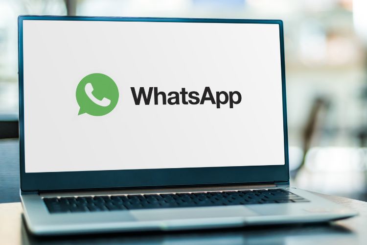 whatsapp windows app