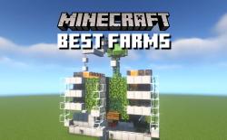 Best Minecraft Farms