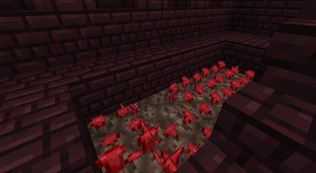 I can't find any Nether fortress: what should I do?