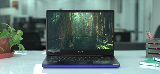 MSI Raider GE67 HX display