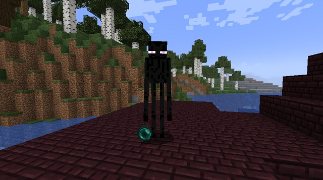 Enderman Und Ender Pearl