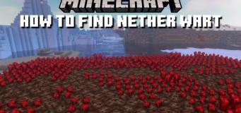 How to Find Nether Wart in Minecraft