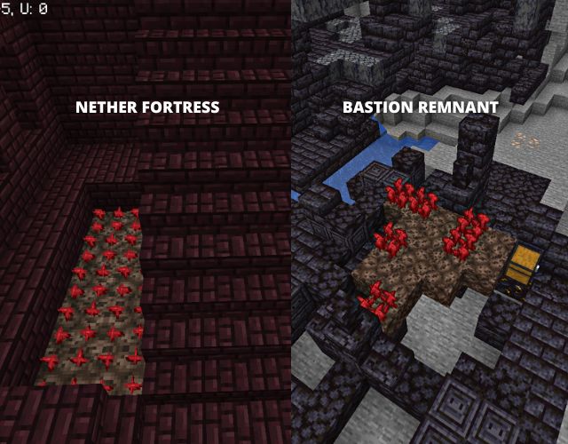 Nether Fortress & bastion remnant