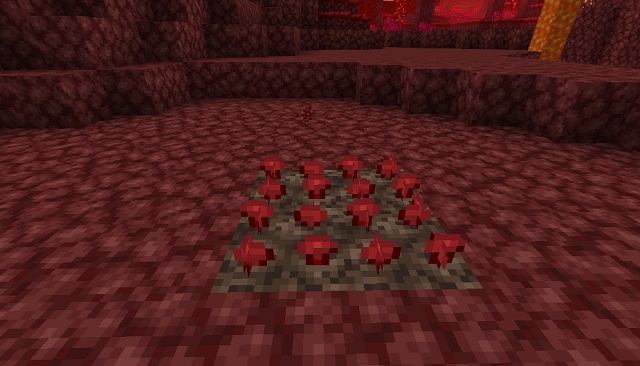 Nether warts in Minecraft