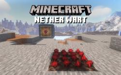 What is a Nether Wart in Minecraft