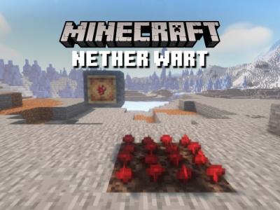 What is a Nether Wart in Minecraft
