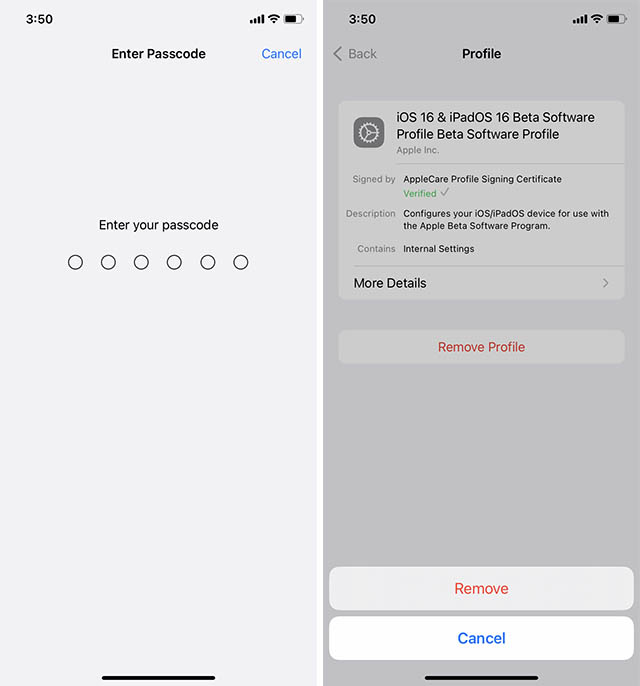 enter passcode to confirm removing public beta profile