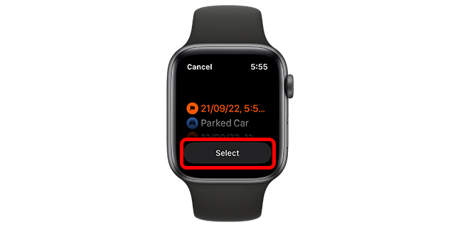 выберите путевую точку, приложение Apple Watch Compass