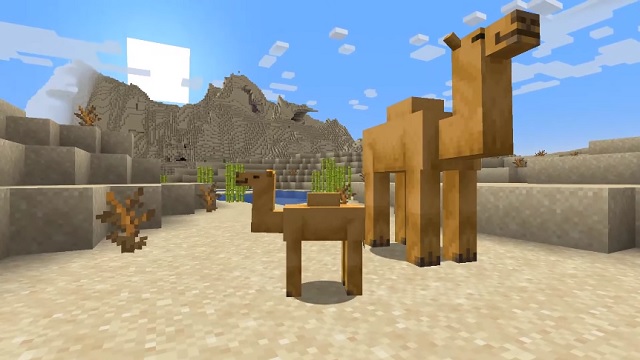 what do camels eat in minecraft - McCall Frold1970